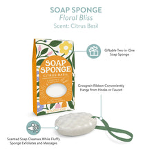 Load image into Gallery viewer, Soap Sponge - 3 Scents