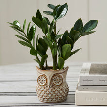 Load image into Gallery viewer, Great Horned Owl Vessel