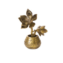 Load image into Gallery viewer, The Golden Cast Aluminum Flower &amp; Pot features a small, decorative butterfly magnolia sculpture with textured petals in a round, antique gold vase, set against a plain white background.