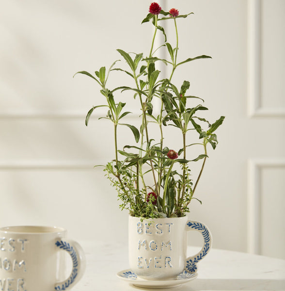 A white ceramic Best Mom Mug/Saucer holds a green plant with small red flowers, perfect for Mother’s Day. Another similar mug is partially visible on the left, both set against a light background.