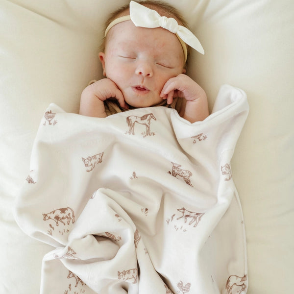 Minky Stretch Mini Blanket