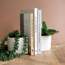 Load image into Gallery viewer, S/2 White Concrete Bookend Planters