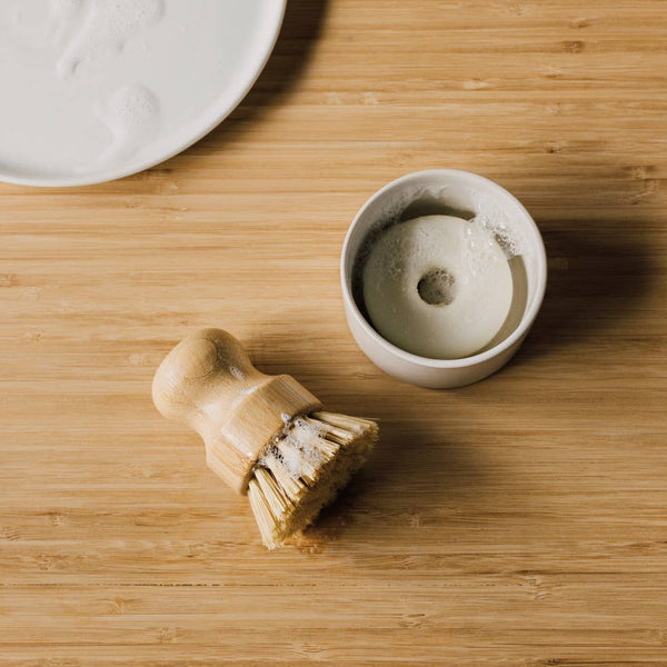 S/3 Dish Brush and Soap