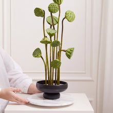 Load image into Gallery viewer, A person creates an ikebana arrangement with tall green lotus pods and stems in a glossy black compote on a round white marble tray, set against a light-colored wall.