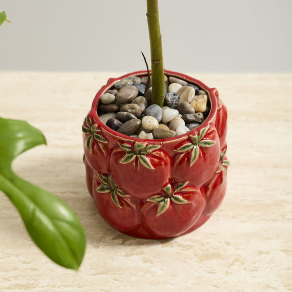 Tomato Planter Pot