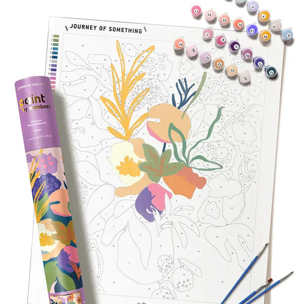Paint By Numbers Kit & Canvas