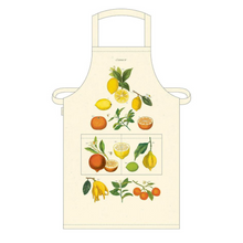 Load image into Gallery viewer, Vintage Apron (4 styles)