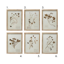 Load image into Gallery viewer, Framed Botanical Decor (sold separately)