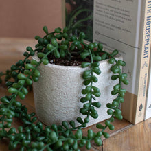 Load image into Gallery viewer, S/2 White Concrete Bookend Planters