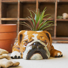 Load image into Gallery viewer, Ceramic Dog Planter