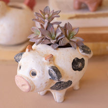 Load image into Gallery viewer, Farm Animal Planter