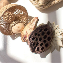 Load image into Gallery viewer, Dried Botanical Garland