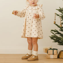 Load image into Gallery viewer, Velour Holly Dress