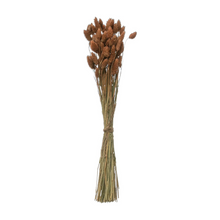 Load image into Gallery viewer, Dried Phalaris Canariensis