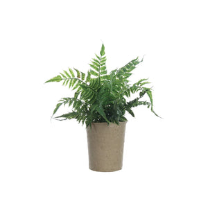 Faux Fern/Paper Pot