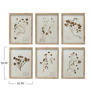 Framed Botanical Decor (sold separately)