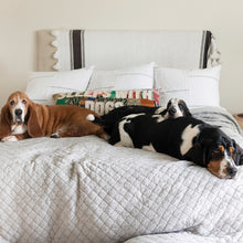 Load image into Gallery viewer, Sleeps w/ Dogs Pillow