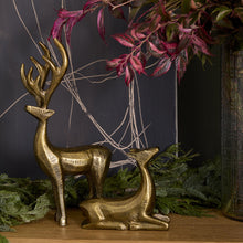 Load image into Gallery viewer, The Golden Prancer Reindeer Figurines, one standing and one lying down, are displayed among green foliage and pinkish leaves on a surface, with a dark background featuring subtle linear light patterns—ideal for festive décor.