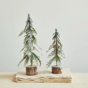 Frosted Fir Tree