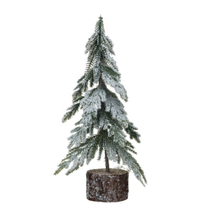 Frosted Fir Tree