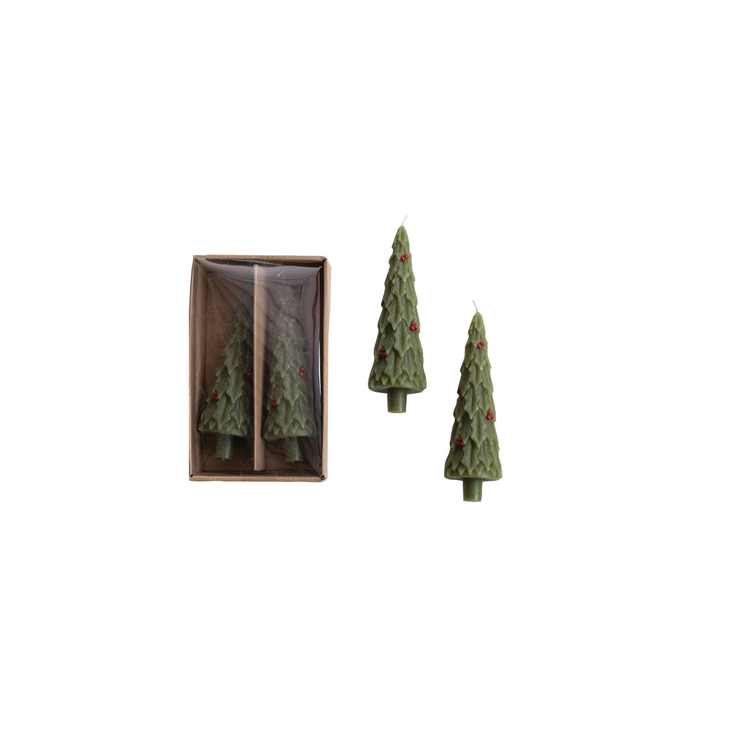 The S/2 Taper Tree Candles w/Holly include two green Christmas tree-shaped tapers with red holly accents. One candle comes in a brown box with a clear lid; the other stands upright, making them ideal for festive holiday décor.