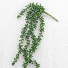 Load image into Gallery viewer, Necklace Fern Succulent